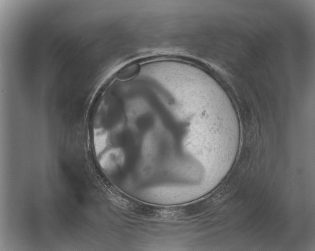 X0000062621271200601040956