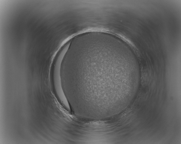 X0000062621272200601040956