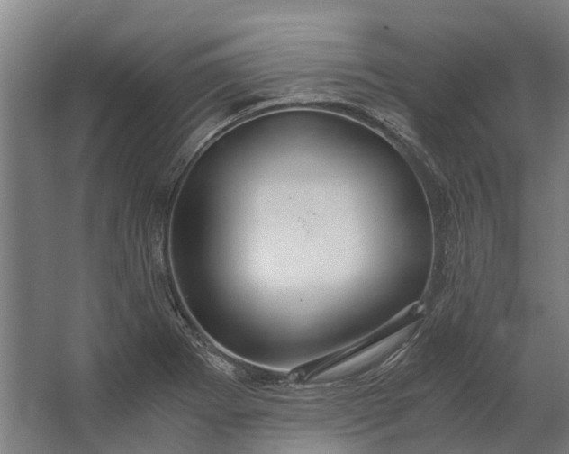 X0000062621273200601040956