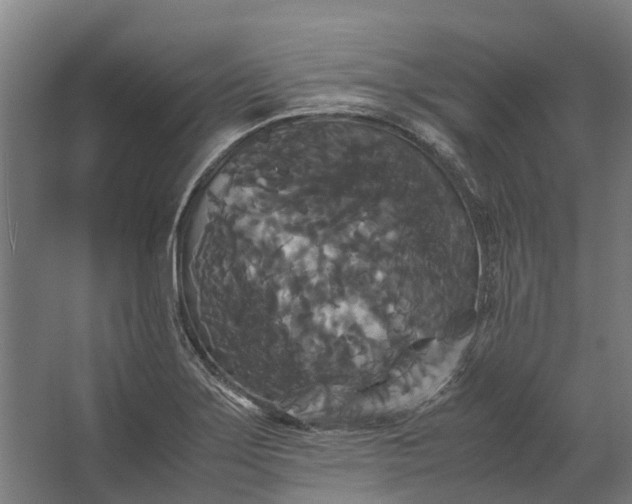 X0000062621275200601040956