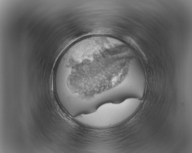 X0000062621276200601040956