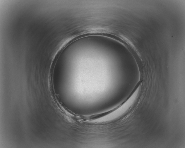 X0000062621277200601040956