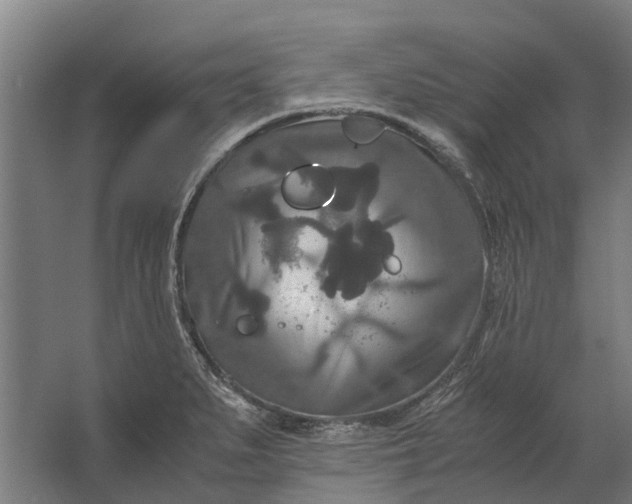 X0000062621279200601040956