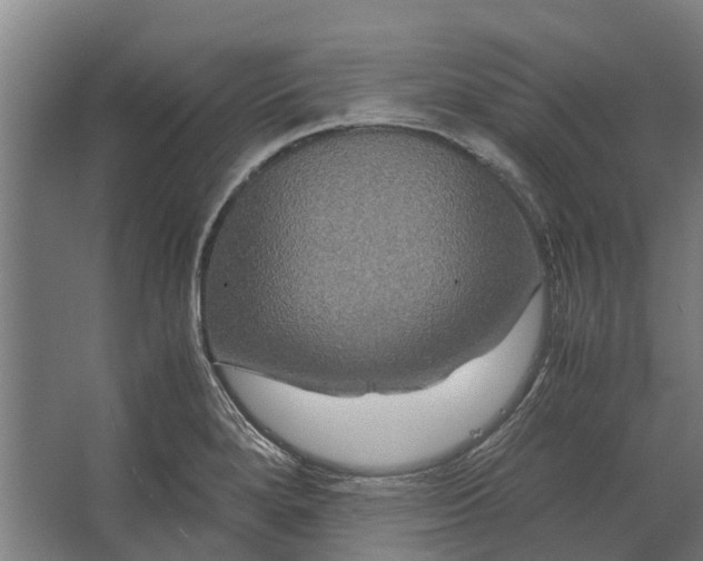 X0000062621280200601040956