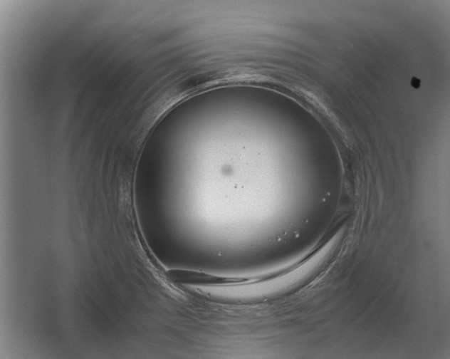 X0000062621281200601040956