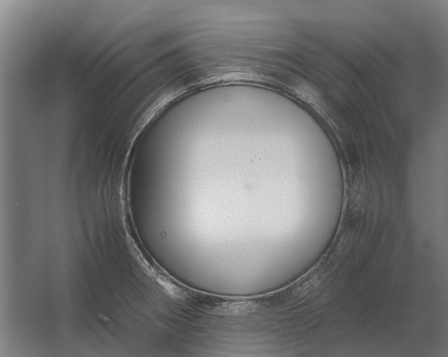 X0000062621282200601040956