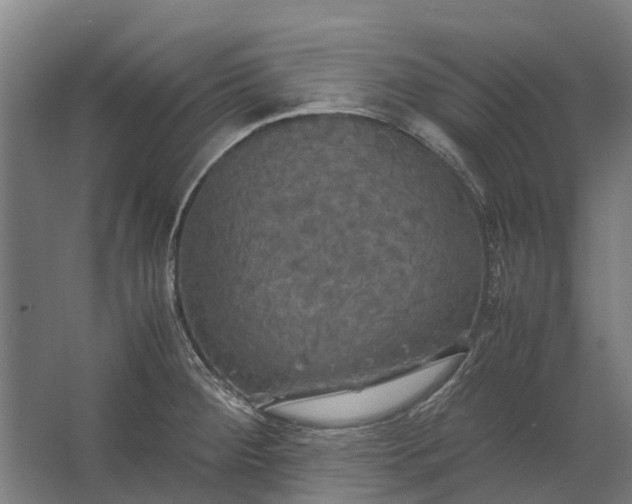 X0000062621284200601040955