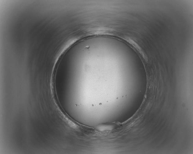 X0000062621285200601040955