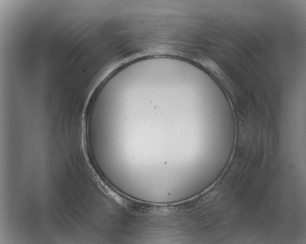 X0000062621286200601040955