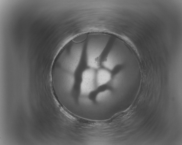 X0000062621287200601040955