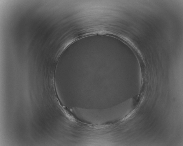 X0000062621289200601040955