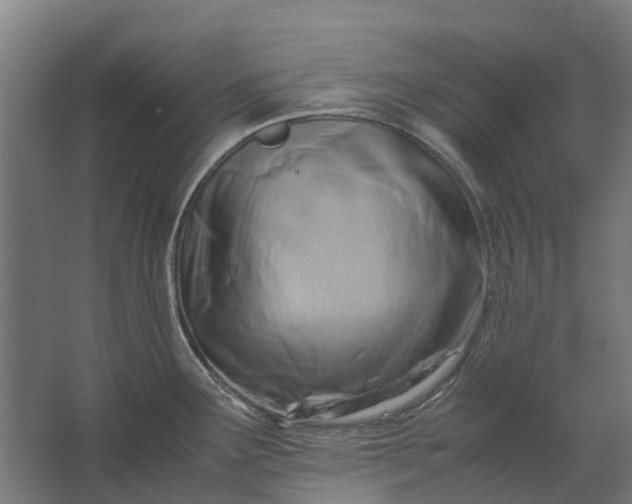 X0000062621291200601040955