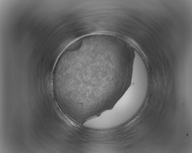 X0000062621292200601040955