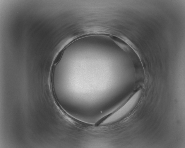 X0000062621293200601040955