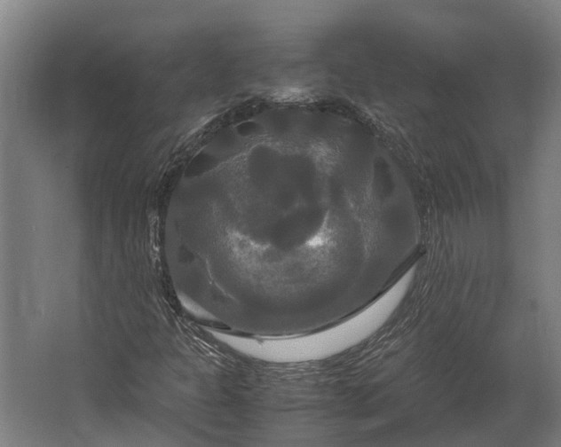 X0000062621301200601040955