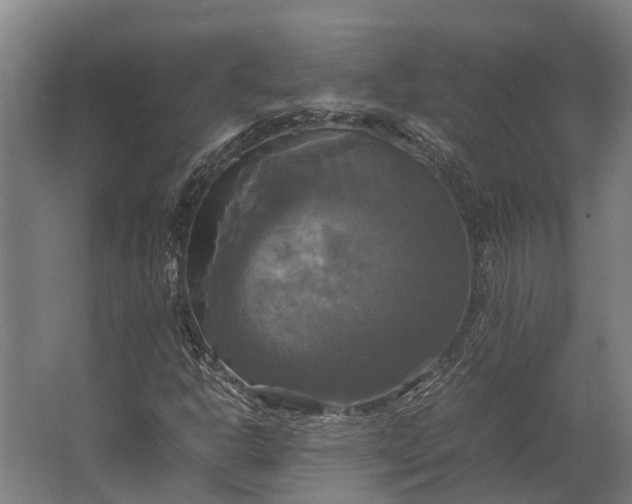 X0000062621302200601040955