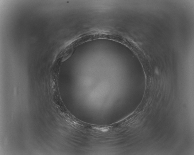 X0000062621303200601040955