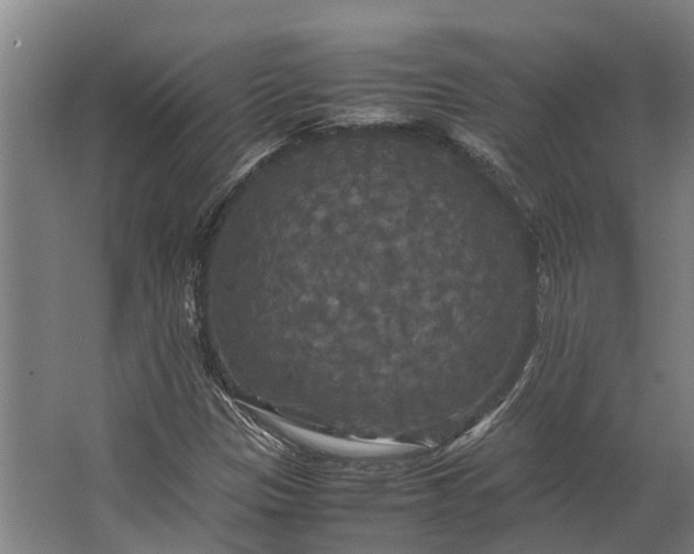 X0000062621305200601040955