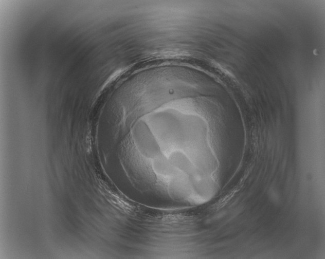 X0000062621306200601040955