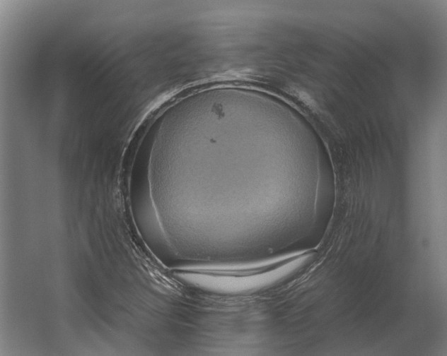 X0000062621308200601040955