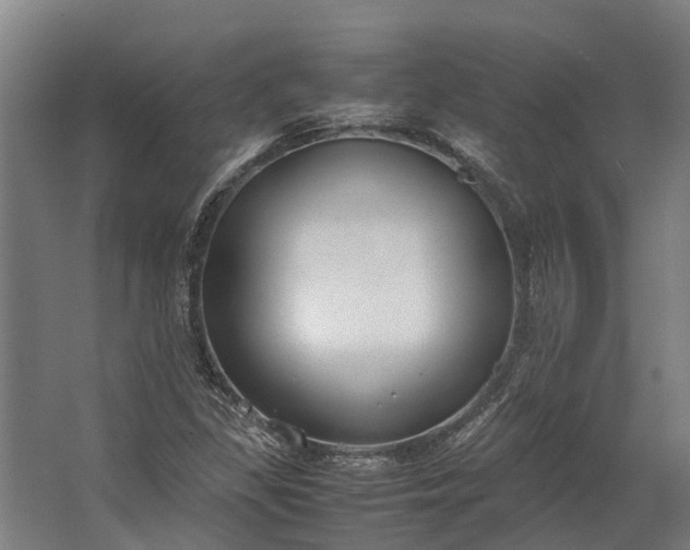 X0000062621309200601040955