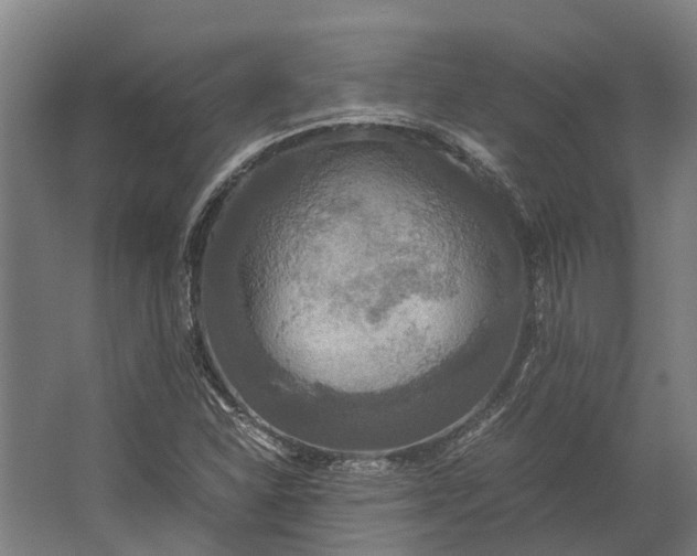 X0000062621310200601040955