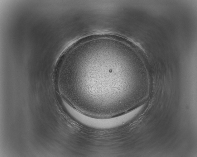 X0000062621311200601040955