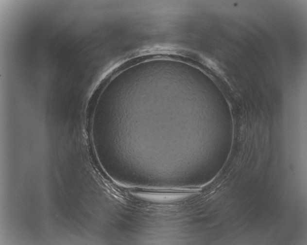 X0000062621312200601040955