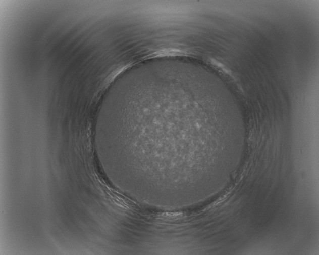 X0000062621313200601040955