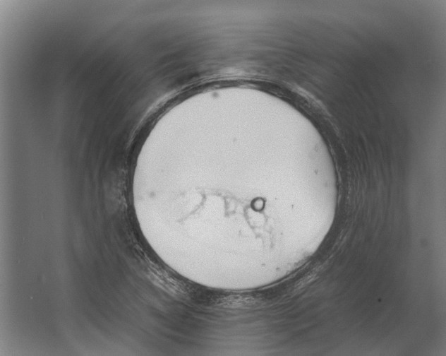 X0000062621314200601040955