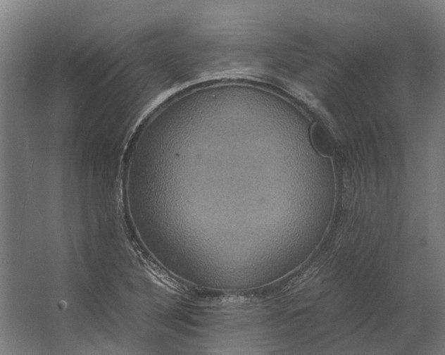 X0000062621316200601040955