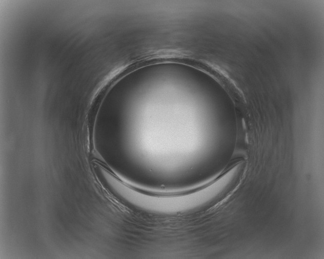 X0000062621317200601040955