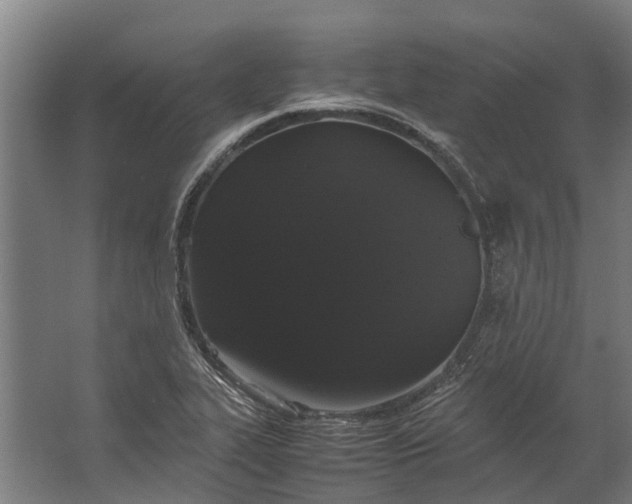 X0000062621319200601040955