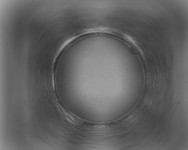 X0000062621320200601040955