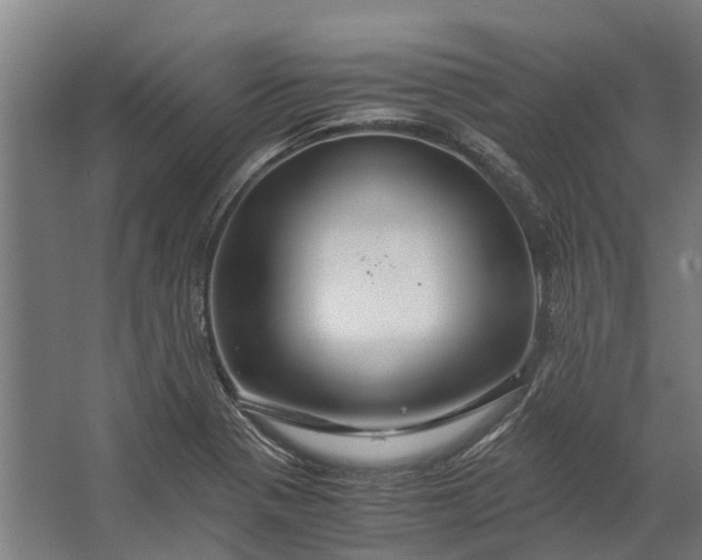 X0000062621321200601040955