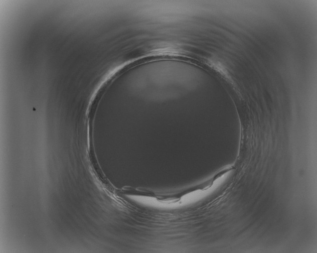 X0000062621323200601040955