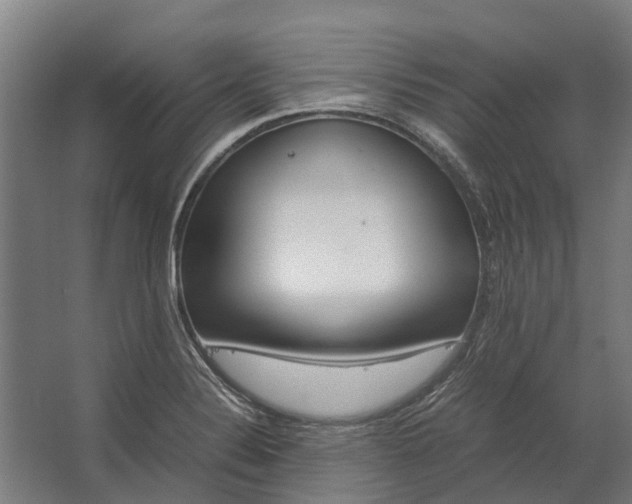 X0000062621324200601040955