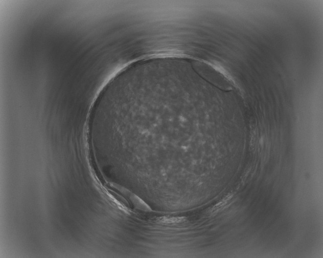 X0000062621325200601040955