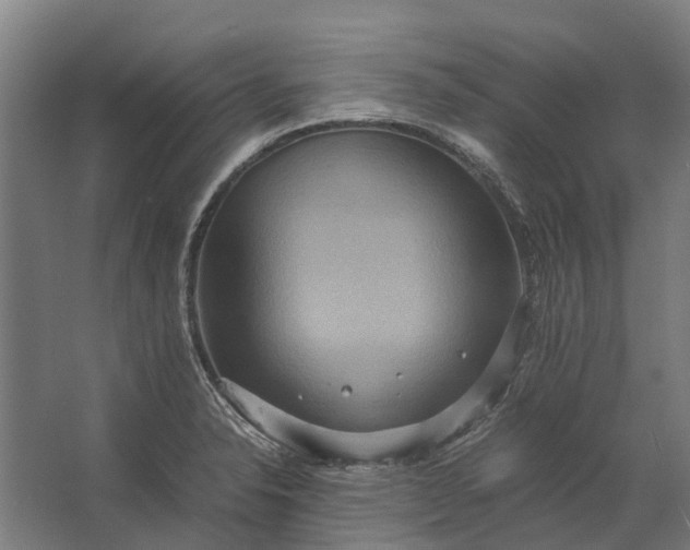 X0000062621326200601040955