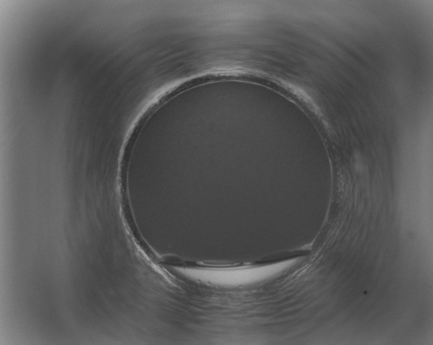 X0000062621327200601040955