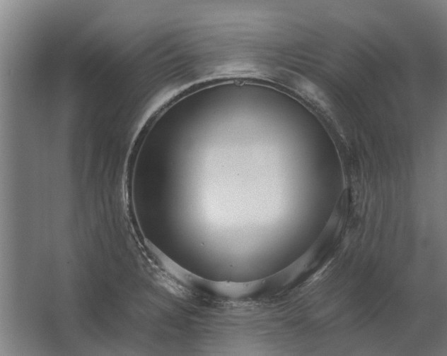 X0000062621328200601040955