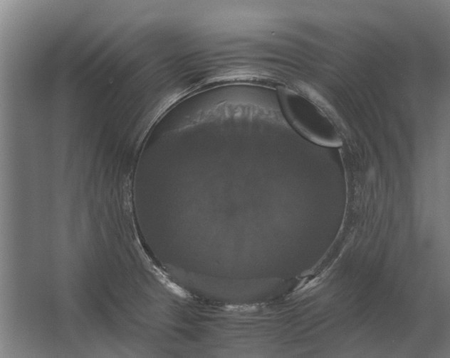 X0000062621329200601040955