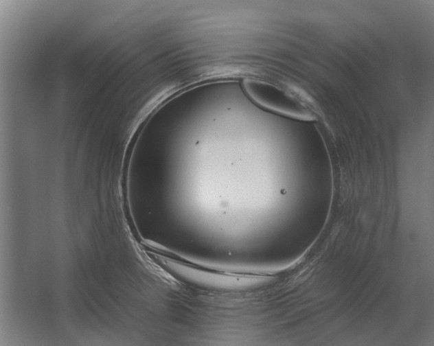 X0000062621330200601040955