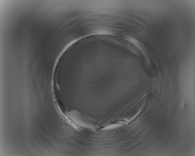 X0000062621331200601040955