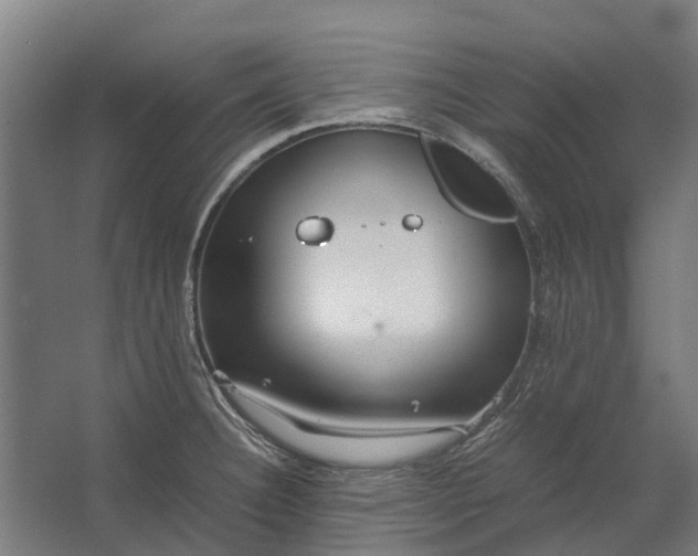 X0000062621332200601040955