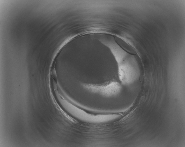 X0000062621333200601040955