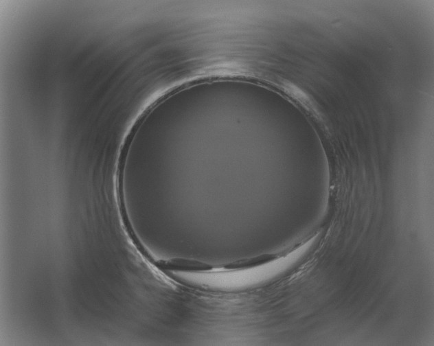 X0000062621334200601040955