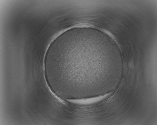 X0000062621335200601040955