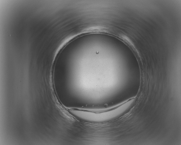 X0000062621336200601040955