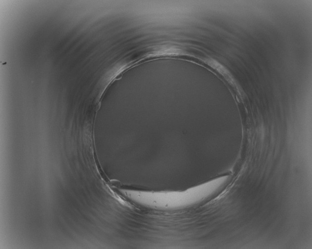 X0000062621337200601040955